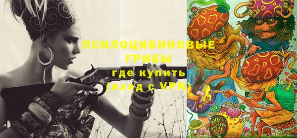 ECSTASY Алексин